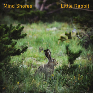 杨晨晨小电影大全
