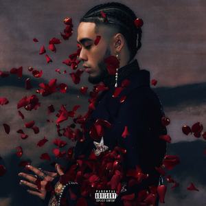 杨晨晨小电影大全
