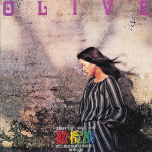 杨晨晨小电影大全
