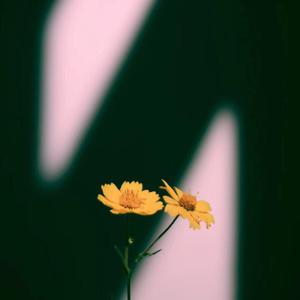 杨晨晨小电影大全
